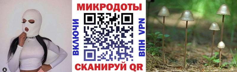 Псилоцибиновые грибы мухоморы  Берёзовка 